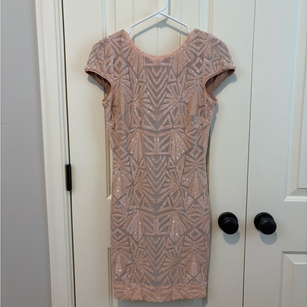 Dress The Population Sequin Dress